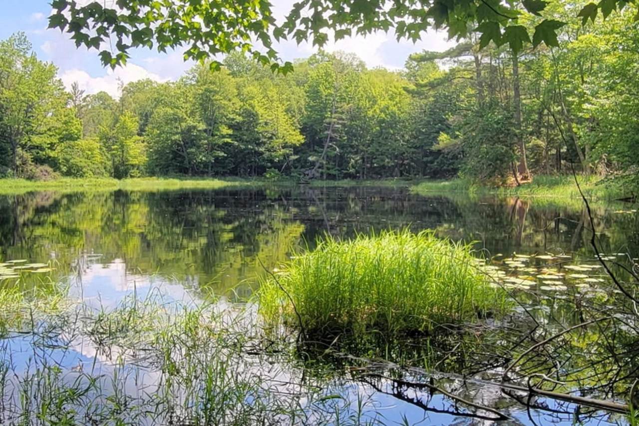 Lot #2 Moonshine Valley Rd - Photo 1