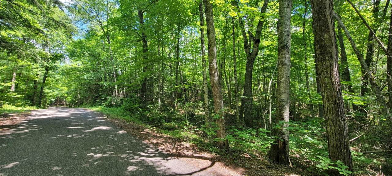 https://bt-photos.global.ssl.fastly.net/northwoods/1280_boomver_1_218495-2.jpg