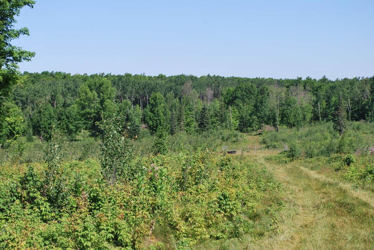 NEAR Cth S - Photo 1