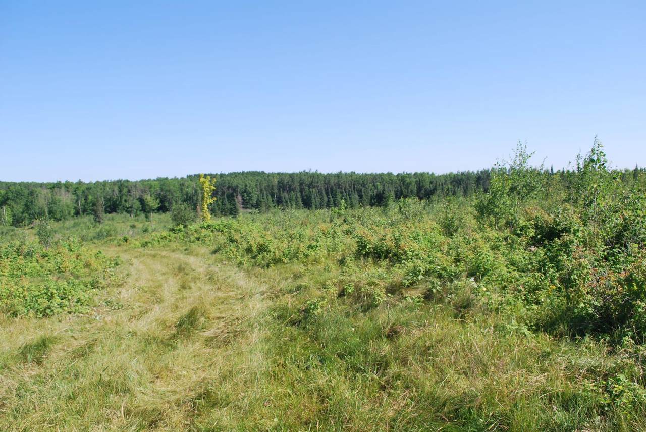 https://bt-photos.global.ssl.fastly.net/northwoods/1280_boomver_1_218538-2.jpg