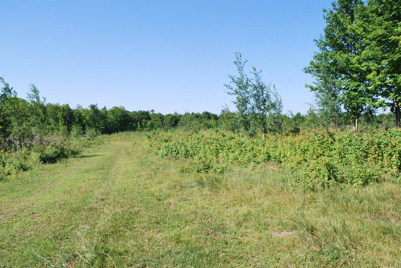 https://bt-photos.global.ssl.fastly.net/northwoods/1280_boomver_1_218538-2.jpg