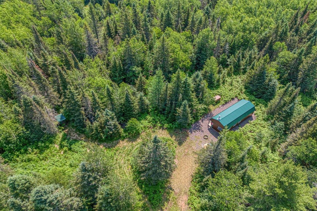 6881E Forest Rd - Photo 1