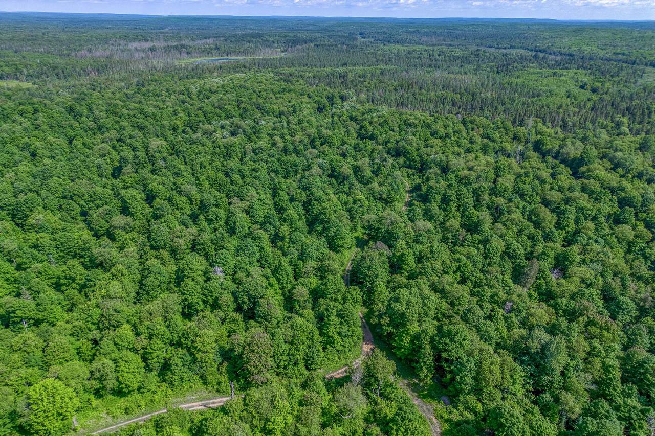 https://bt-photos.global.ssl.fastly.net/northwoods/1280_boomver_1_218554-2.jpg