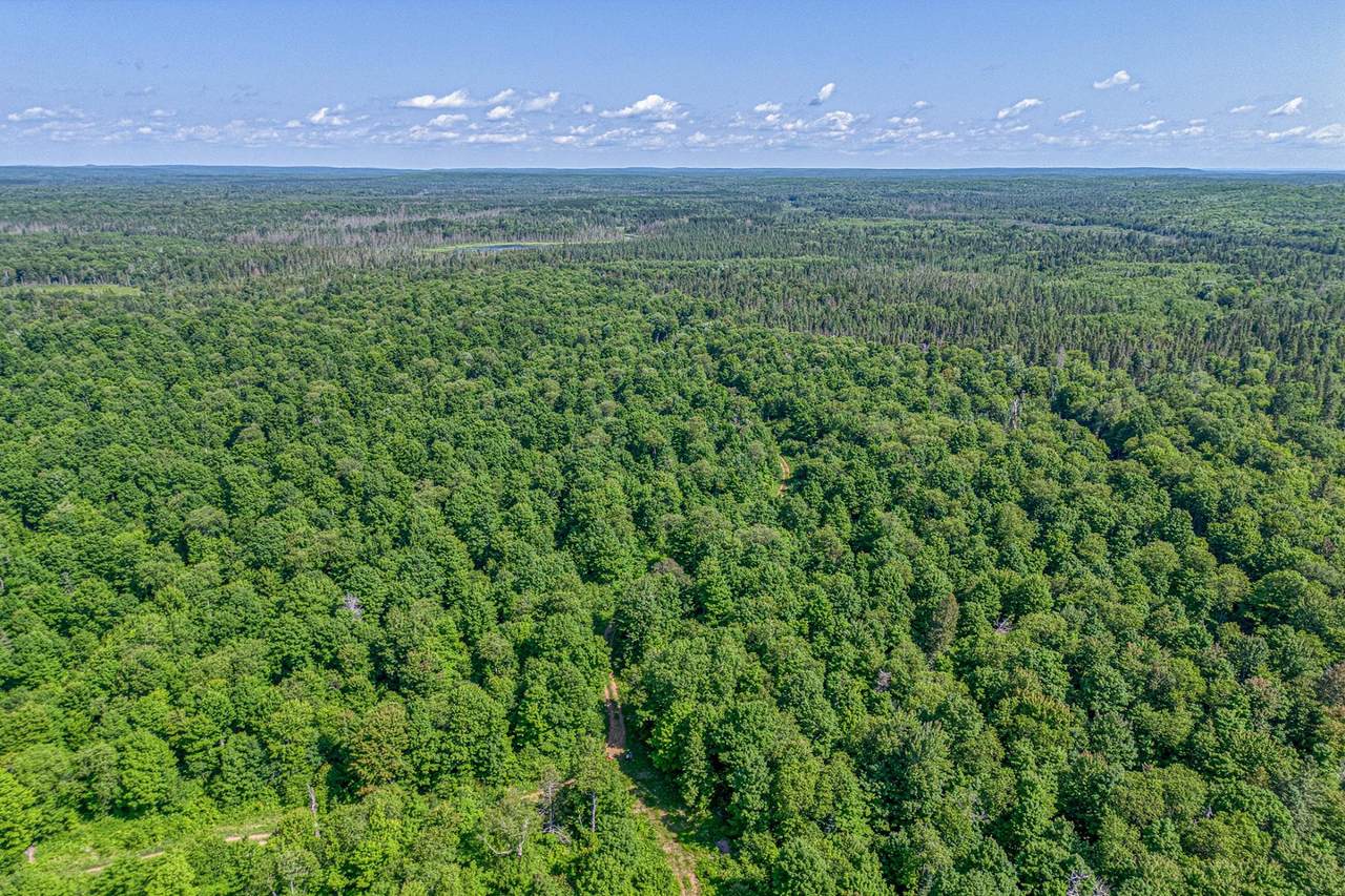 https://bt-photos.global.ssl.fastly.net/northwoods/1280_boomver_1_218554-2.jpg