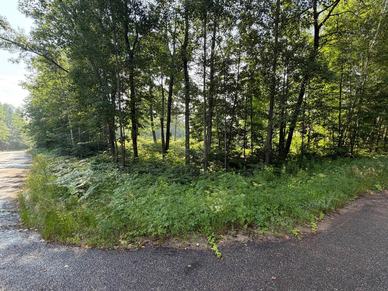 https://bt-photos.global.ssl.fastly.net/northwoods/1280_boomver_1_218576-2.jpg