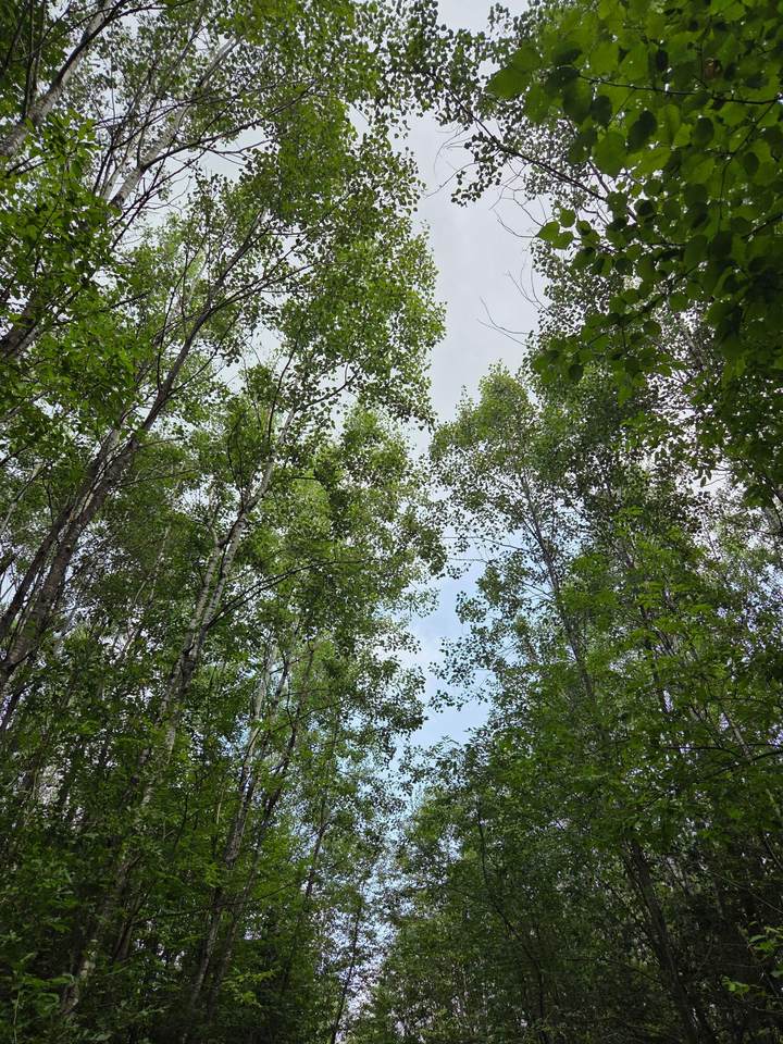 https://bt-photos.global.ssl.fastly.net/northwoods/1280_boomver_1_218619-2.jpg