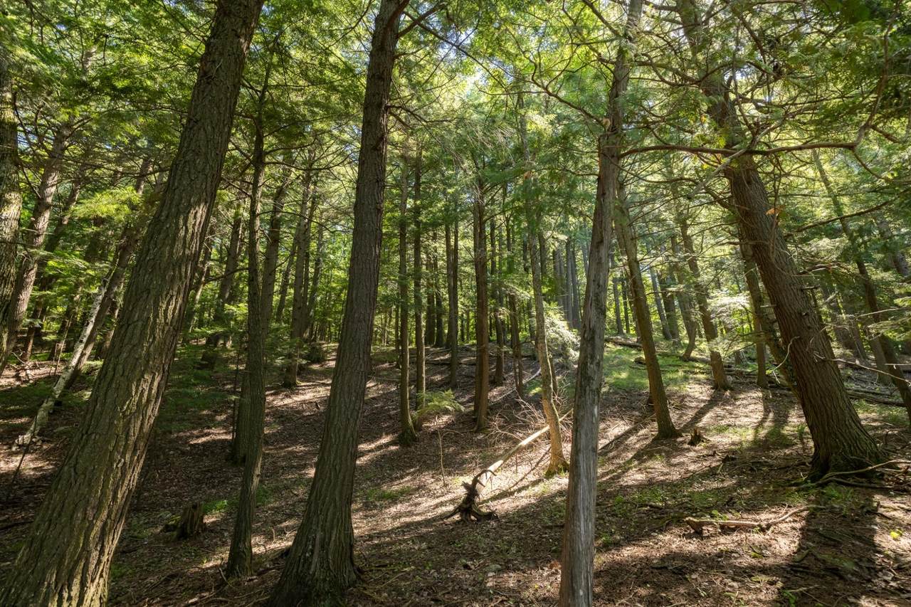 https://bt-photos.global.ssl.fastly.net/northwoods/1280_boomver_1_218652-2.jpg