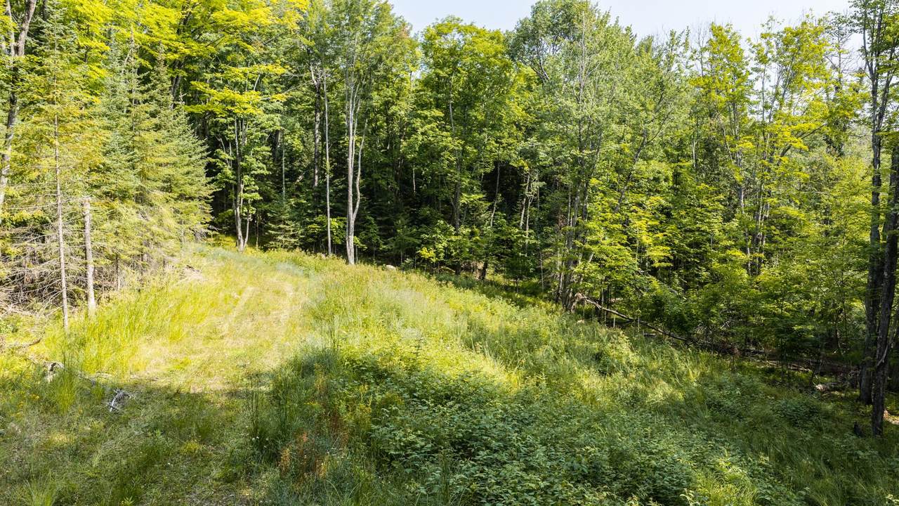 https://bt-photos.global.ssl.fastly.net/northwoods/1280_boomver_1_218691-2.jpg