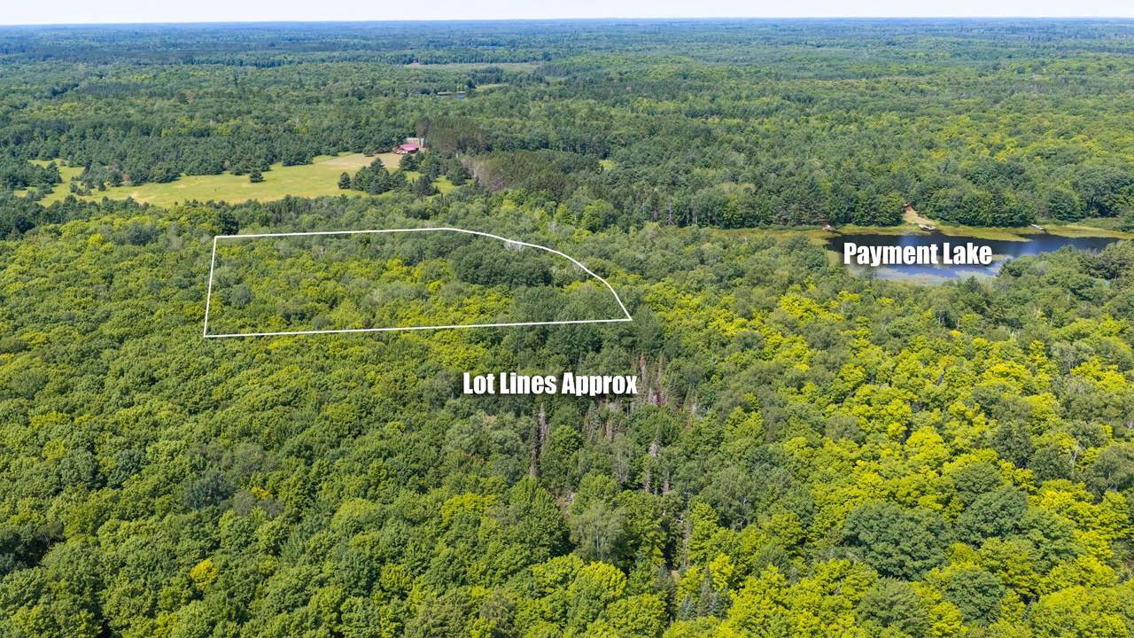 Lot ON Payment Lake Rd - Photo 1