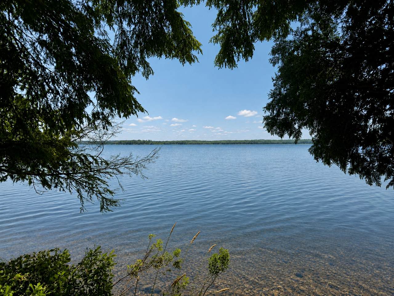 TBD Lakeshore Dr - Photo 1