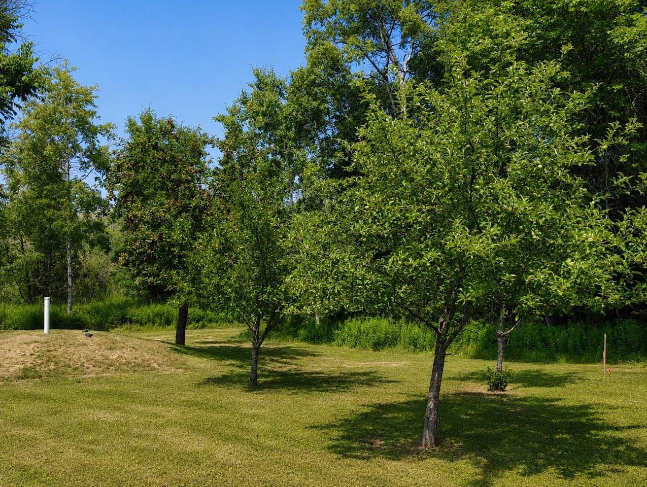 https://bt-photos.global.ssl.fastly.net/northwoods/1280_boomver_1_218707-2.jpg