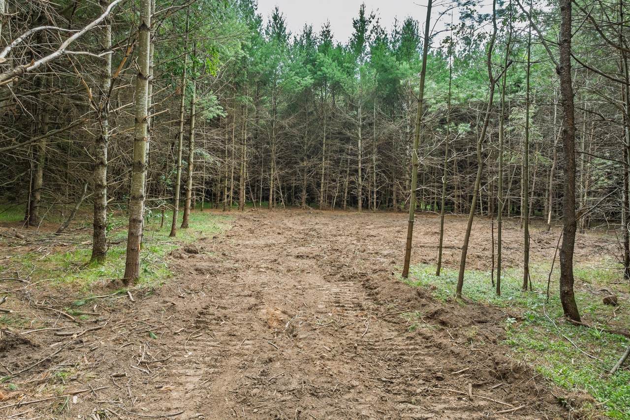 https://bt-photos.global.ssl.fastly.net/northwoods/1280_boomver_1_218722-2.jpg