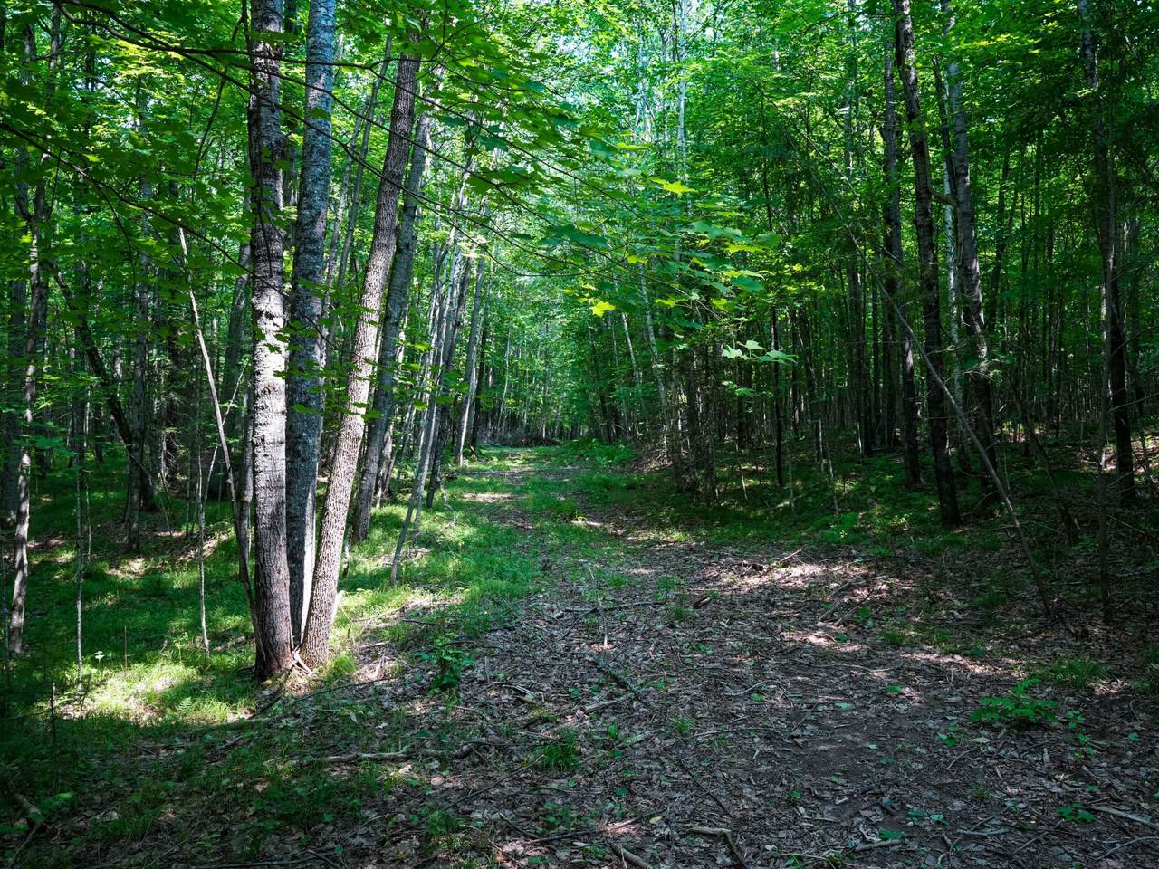 Lot 6 Hwy 17 - Photo 1