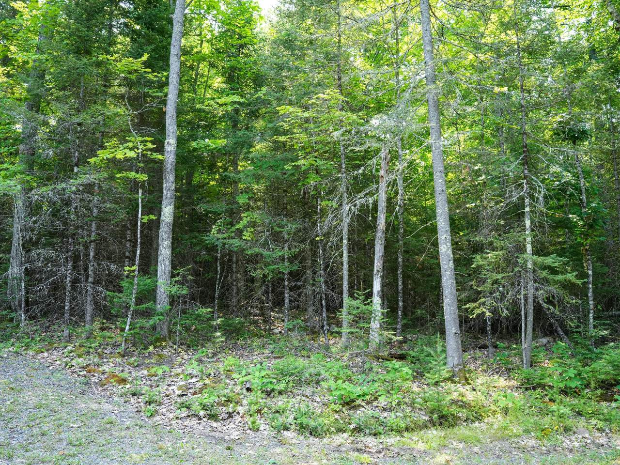 Lot 8 Hunters Ridge Rd - Photo 1