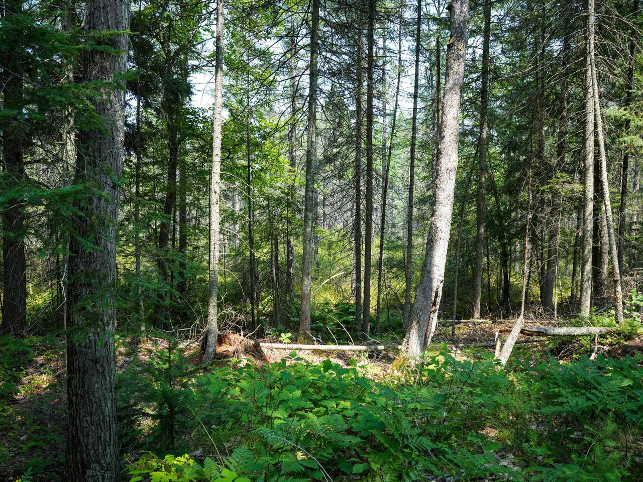 https://bt-photos.global.ssl.fastly.net/northwoods/1280_boomver_1_218738-2.jpg