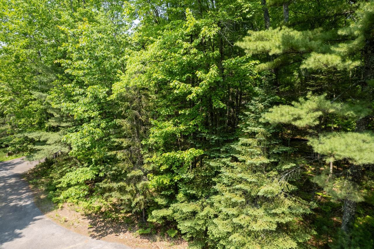 https://bt-photos.global.ssl.fastly.net/northwoods/1280_boomver_1_218819-2.jpg
