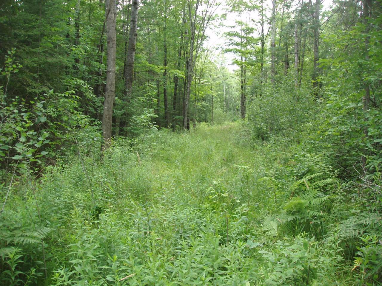 ON Hwy 102 - Photo 1