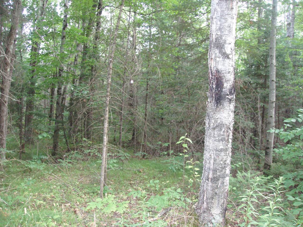 https://bt-photos.global.ssl.fastly.net/northwoods/1280_boomver_1_218831-2.jpg
