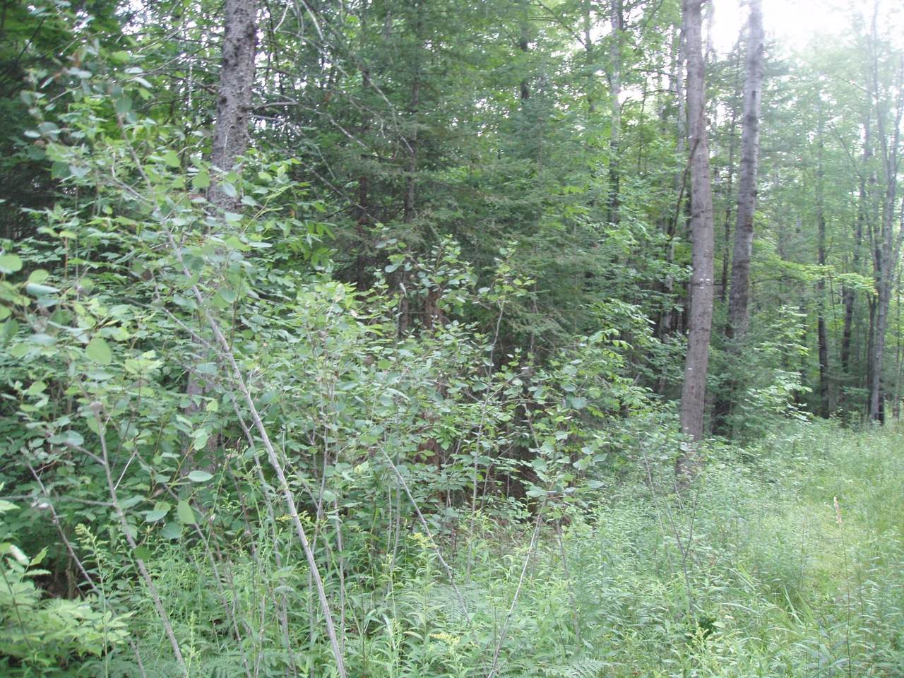 https://bt-photos.global.ssl.fastly.net/northwoods/1280_boomver_1_218831-2.jpg
