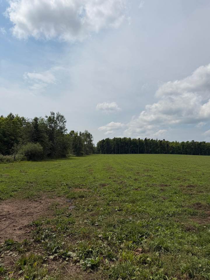 23.97 Sipple Rd - Photo 1