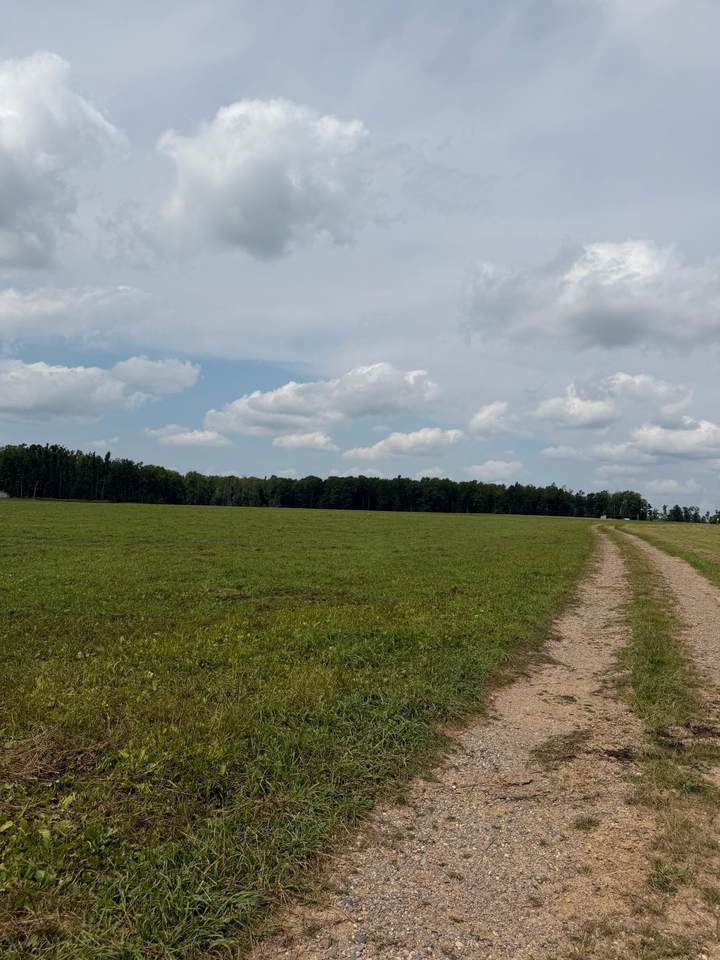 https://bt-photos.global.ssl.fastly.net/northwoods/1280_boomver_1_218876-2.jpg