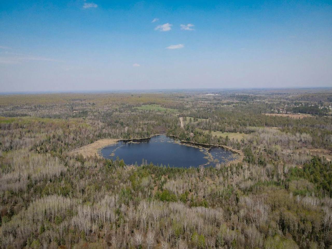 TBD Parks Farm Rd - Photo 1