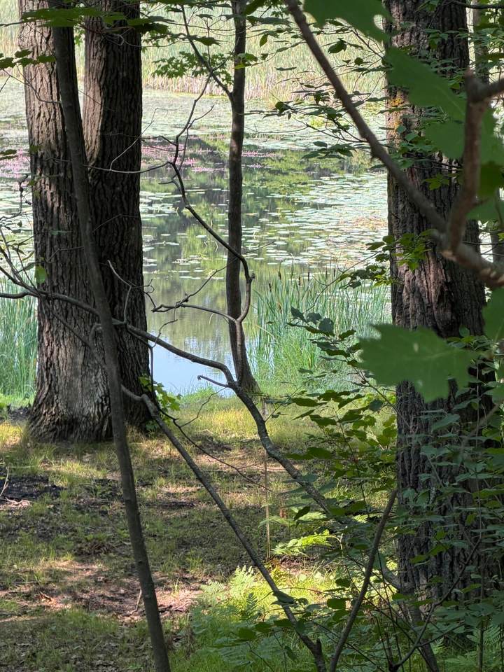 https://bt-photos.global.ssl.fastly.net/northwoods/1280_boomver_1_219168-2.jpg