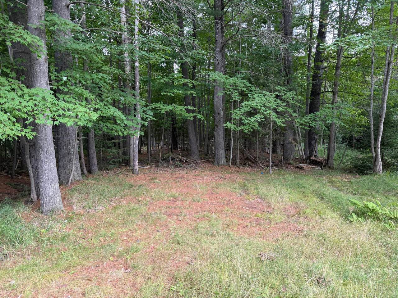 https://bt-photos.global.ssl.fastly.net/northwoods/1280_boomver_1_219181-2.jpg