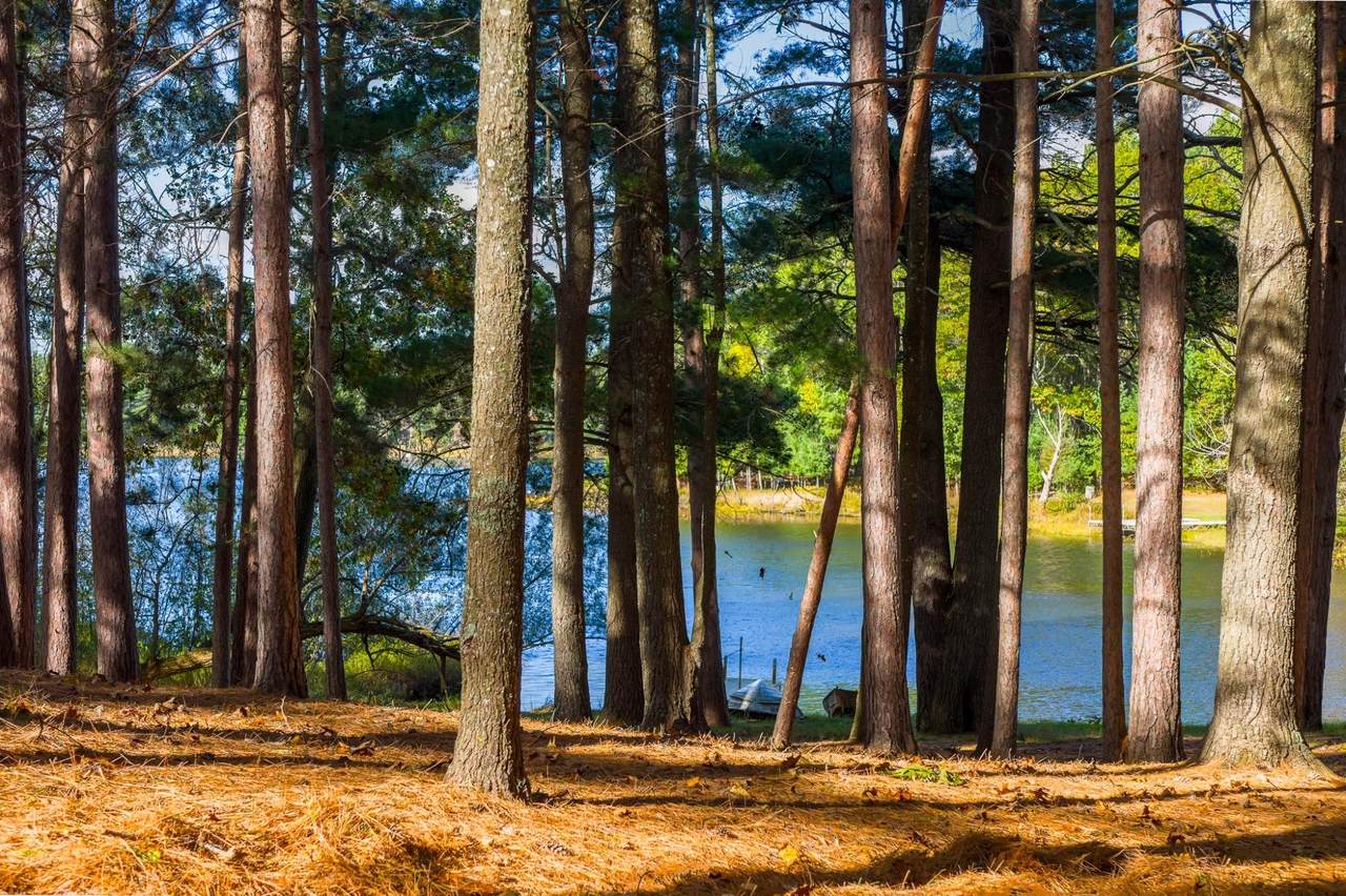 https://bt-photos.global.ssl.fastly.net/northwoods/1280_boomver_1_219474-2.jpg