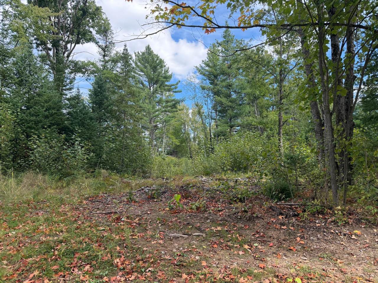 https://bt-photos.global.ssl.fastly.net/northwoods/1280_boomver_1_219753-2.jpg