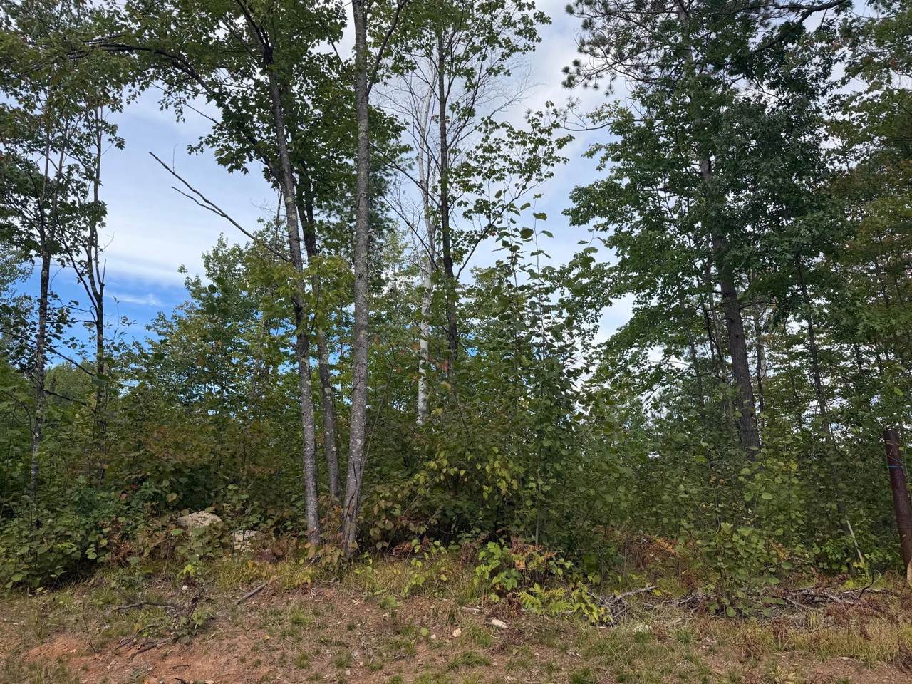 https://bt-photos.global.ssl.fastly.net/northwoods/1280_boomver_1_219754-2.jpg