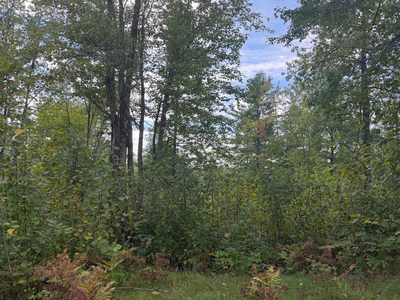 https://bt-photos.global.ssl.fastly.net/northwoods/1280_boomver_1_219781-2.jpg