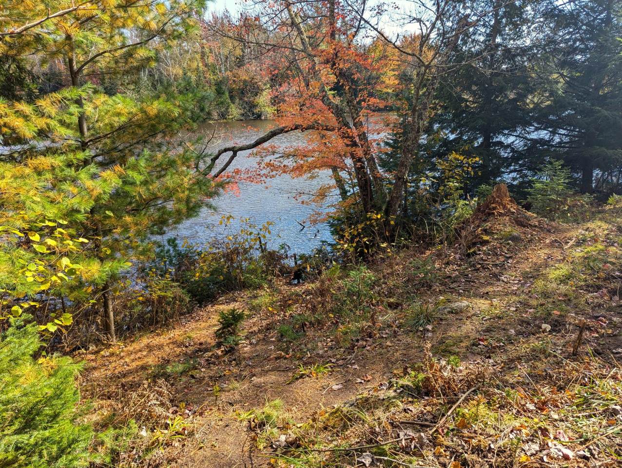 N14056 Pixley Wilderness Shores - Photo 1