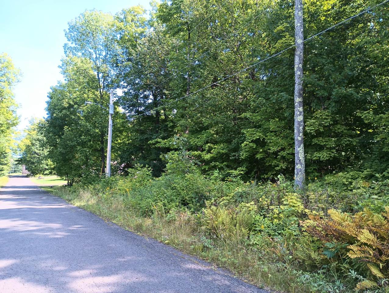 Lot on No 4 Rd - Photo 1