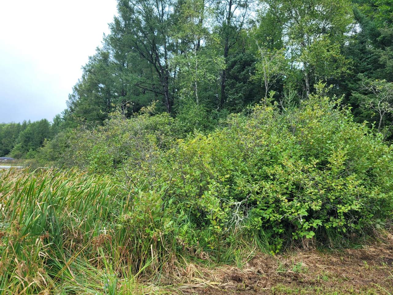 https://bt-photos.global.ssl.fastly.net/northwoods/1280_boomver_2_208907-2.jpg