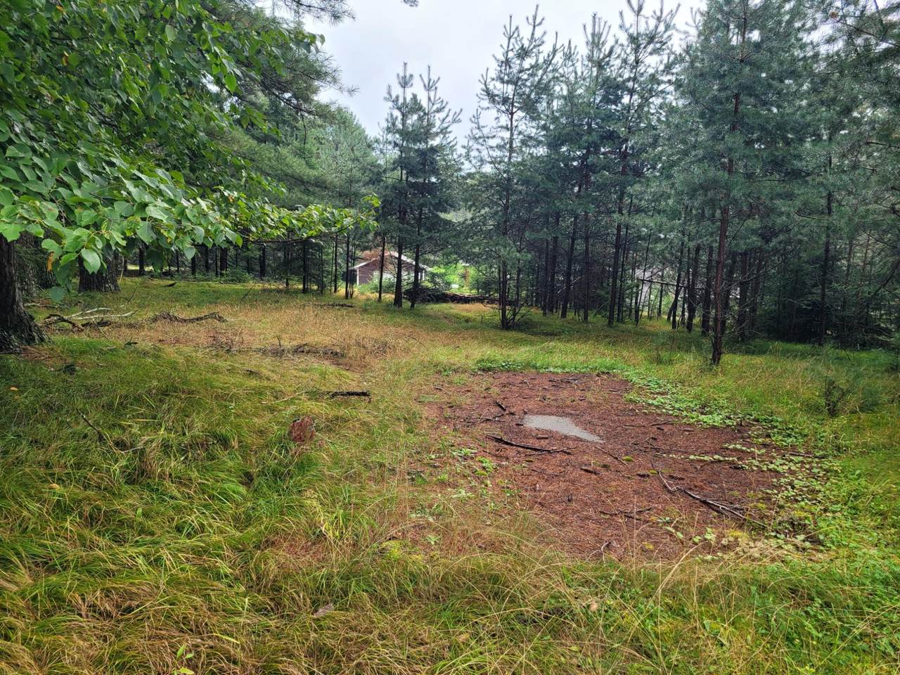 https://bt-photos.global.ssl.fastly.net/northwoods/1280_boomver_2_208907-2.jpg