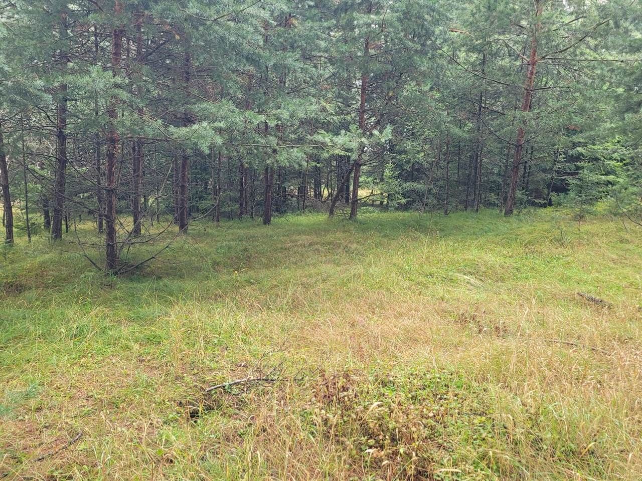 https://bt-photos.global.ssl.fastly.net/northwoods/1280_boomver_2_208907-2.jpg