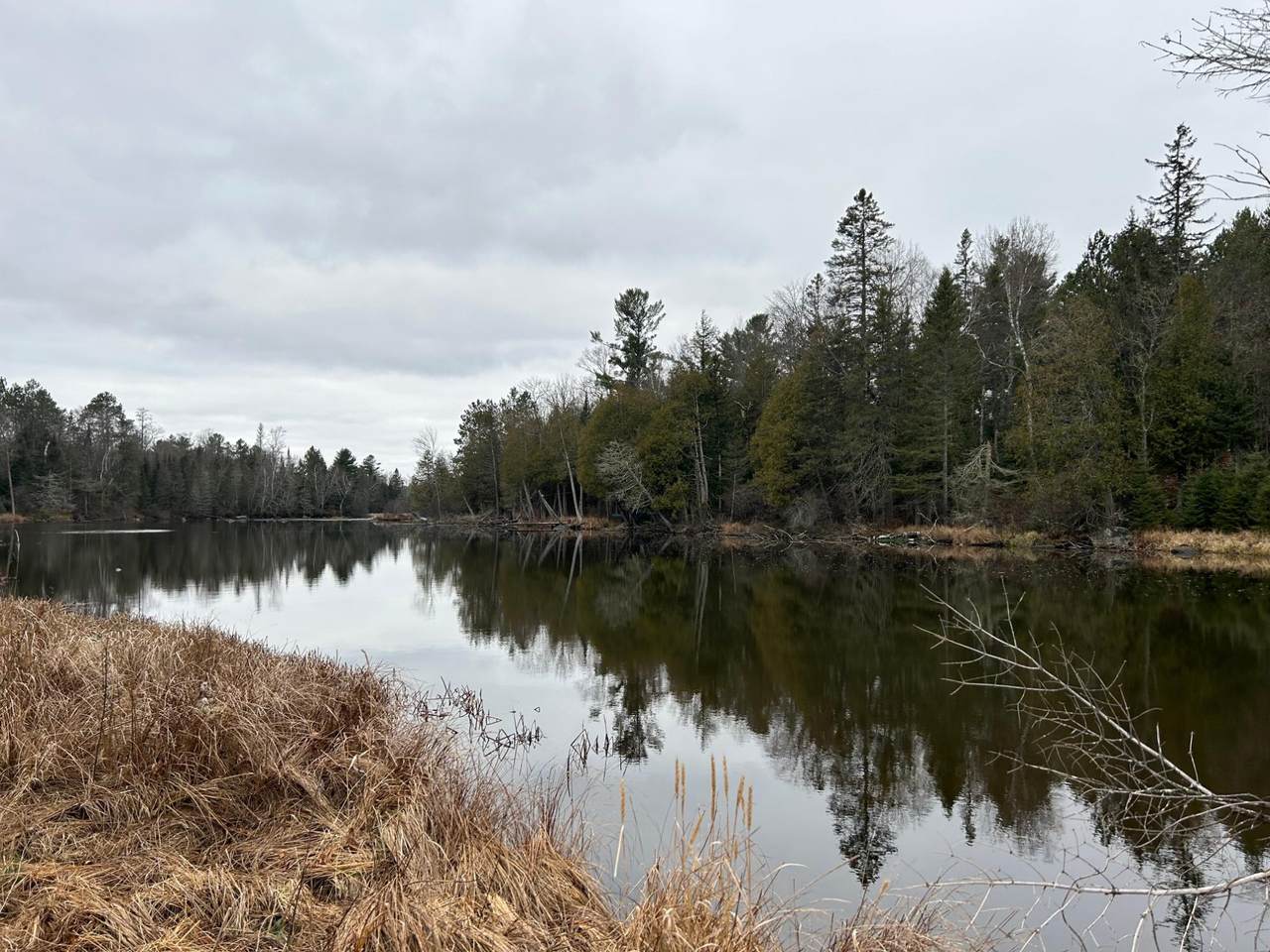 5902 River Rd - Photo 1