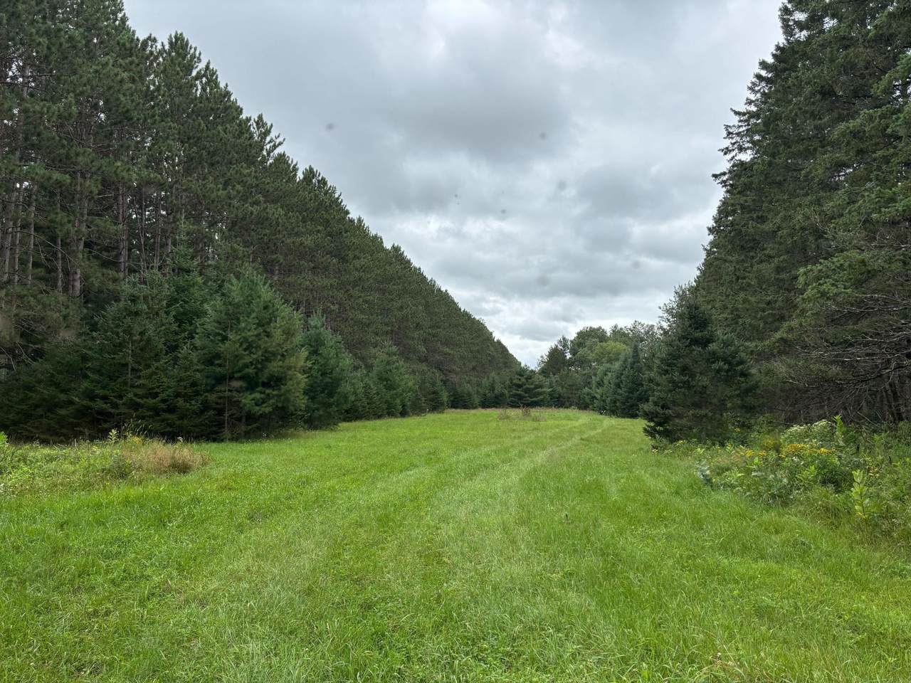 Off Holly Dr - Photo 1