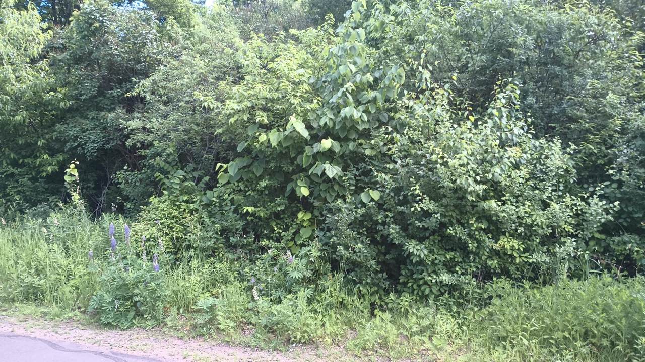 200 Lime St E - Photo 1