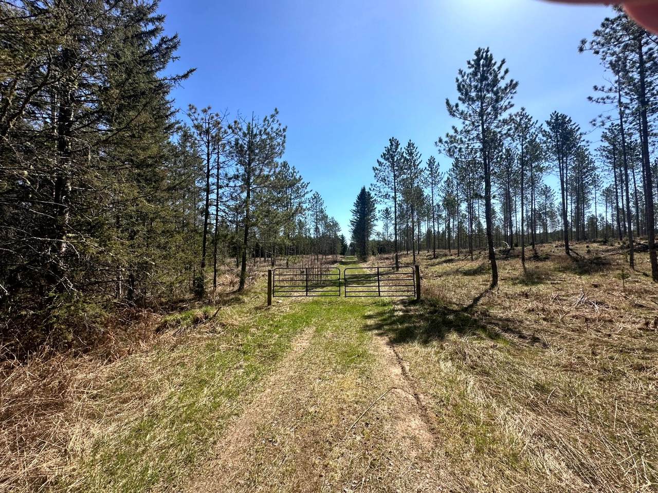 78.5 AC Monheim Rd - Photo 1