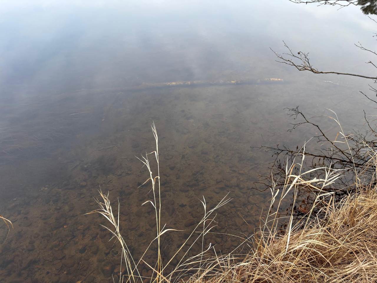 https://bt-photos.global.ssl.fastly.net/northwoods/1280_boomver_2_210888-2.jpg