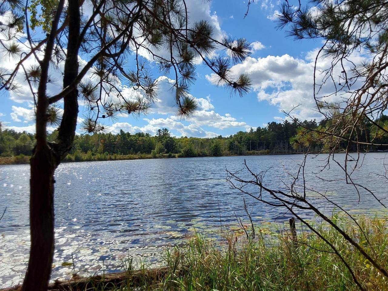 LOT 1 Curtis Lake Dr - Photo 1