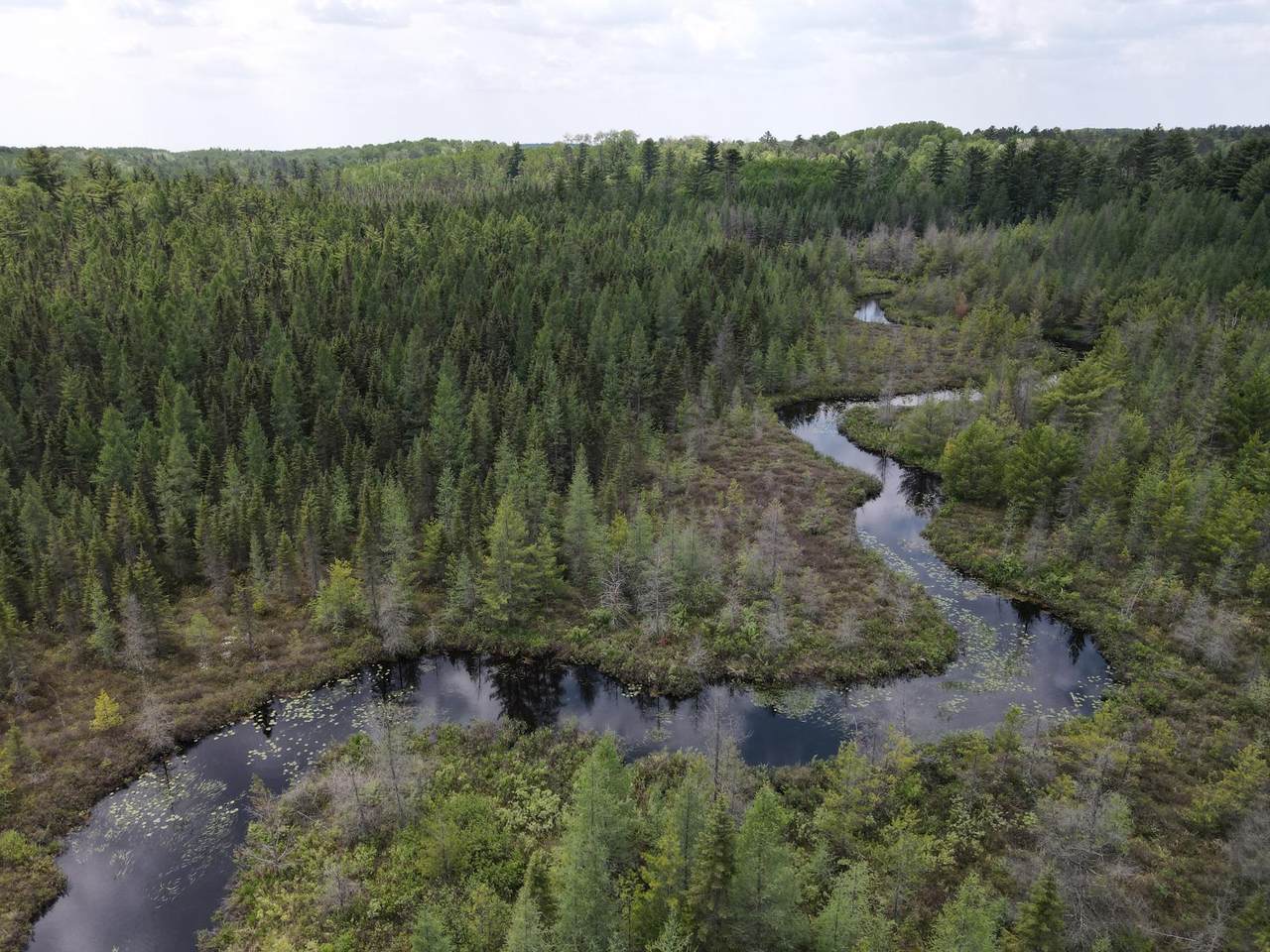 https://bt-photos.global.ssl.fastly.net/northwoods/1280_boomver_2_211101-2.jpg