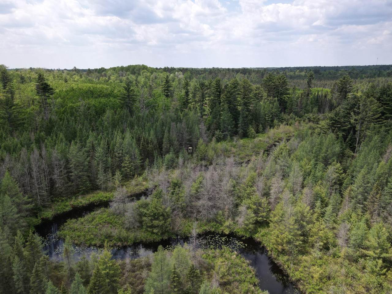 https://bt-photos.global.ssl.fastly.net/northwoods/1280_boomver_2_211101-2.jpg
