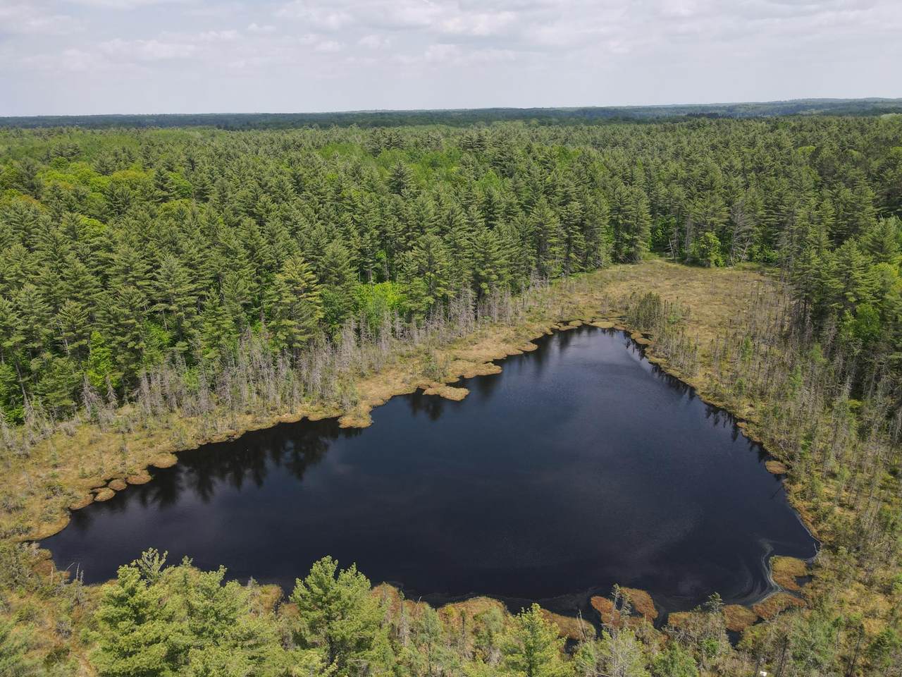 https://bt-photos.global.ssl.fastly.net/northwoods/1280_boomver_2_211101-2.jpg