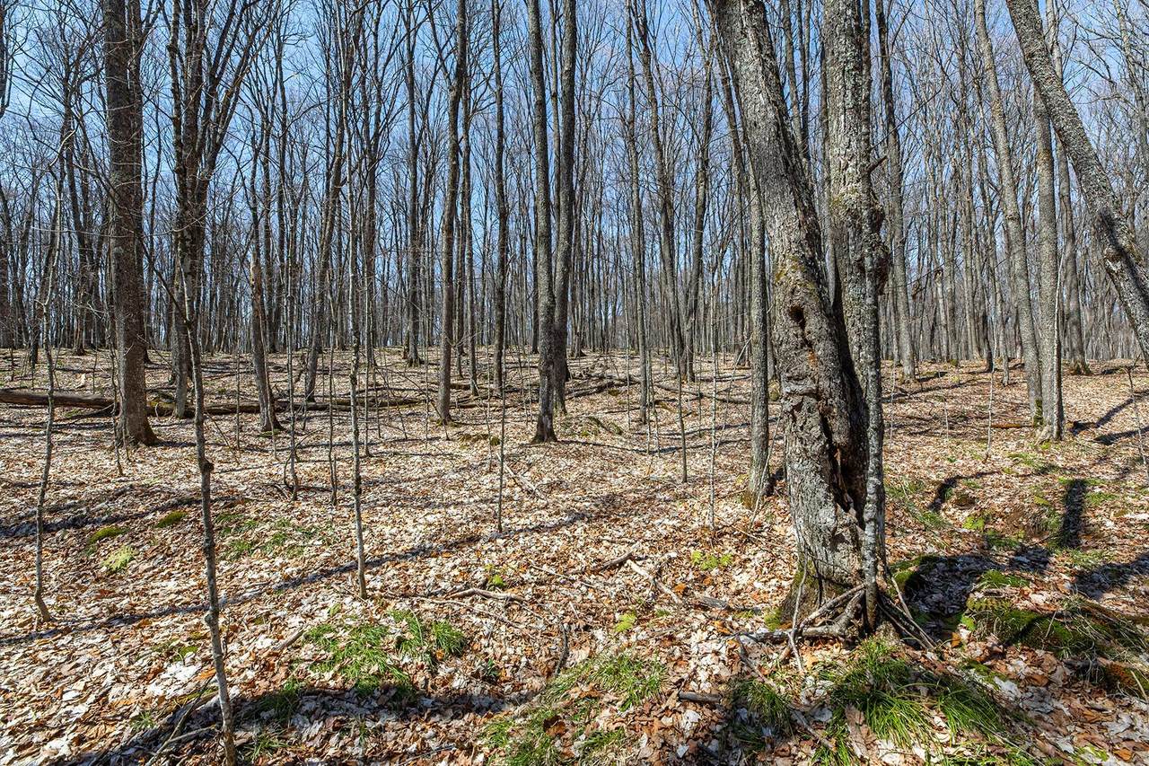 Lot 11 Red Fox Rd - Photo 1