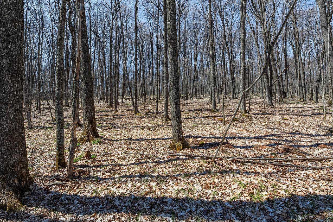 Lot 13 Red Fox Rd - Photo 1