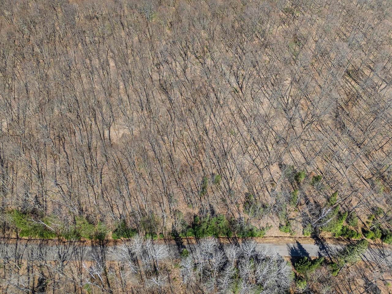 Lot11-13 Red Fox Rd - Photo 1