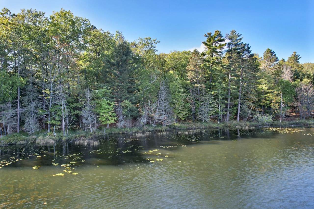 ON Boygan Lake Rd - Photo 1